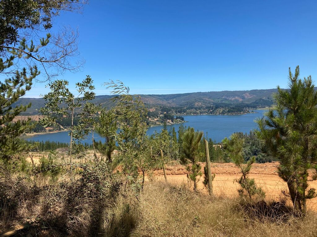 Venta Parcela Vichuquén - Maule