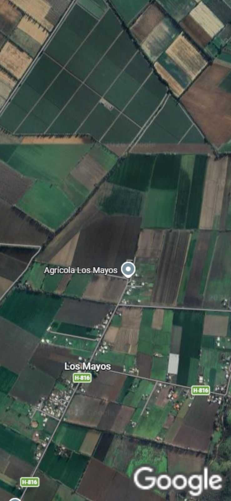 Arriendo 52 Hectareas Planas de Riego