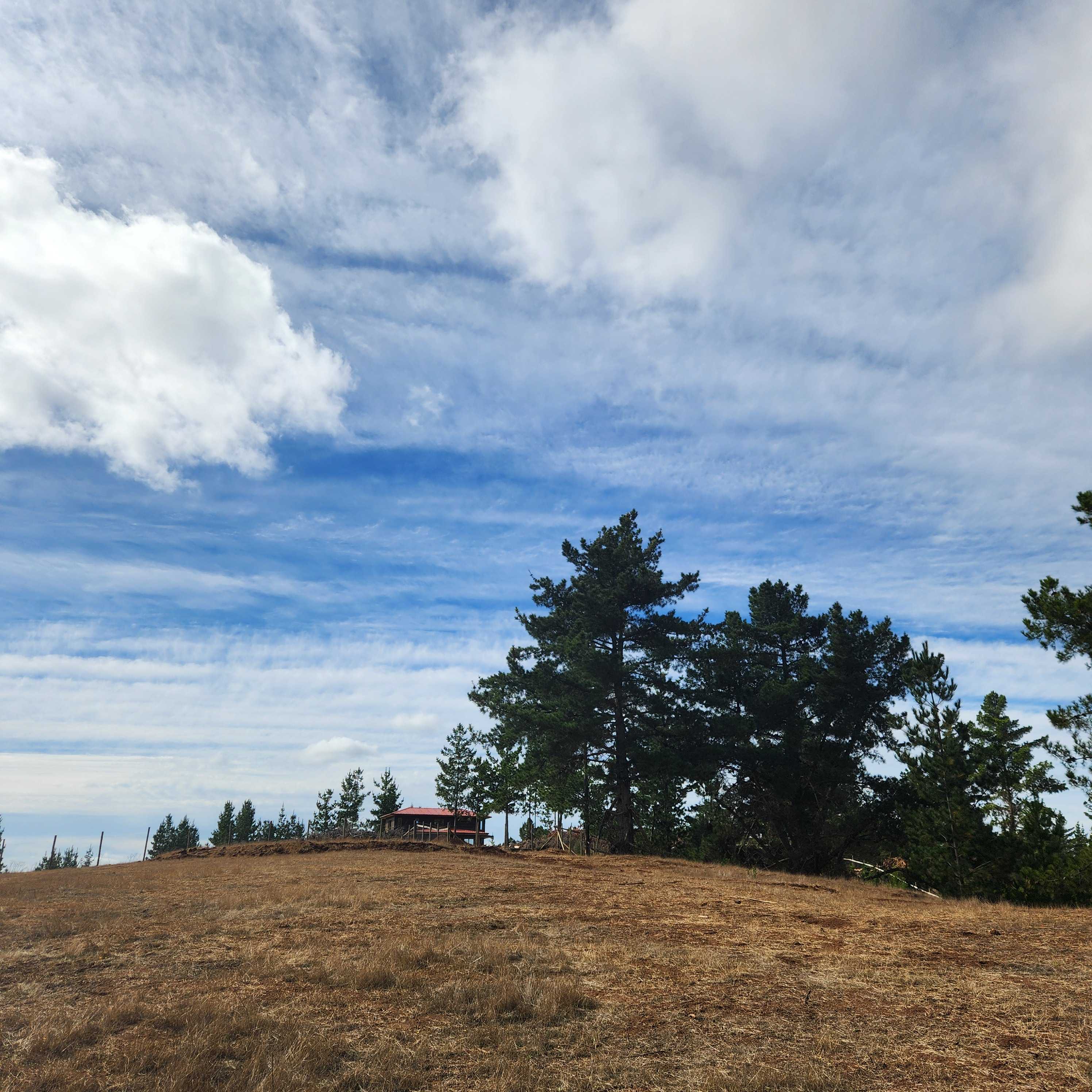 Venta Parcela Pichilemu - O'Higgins