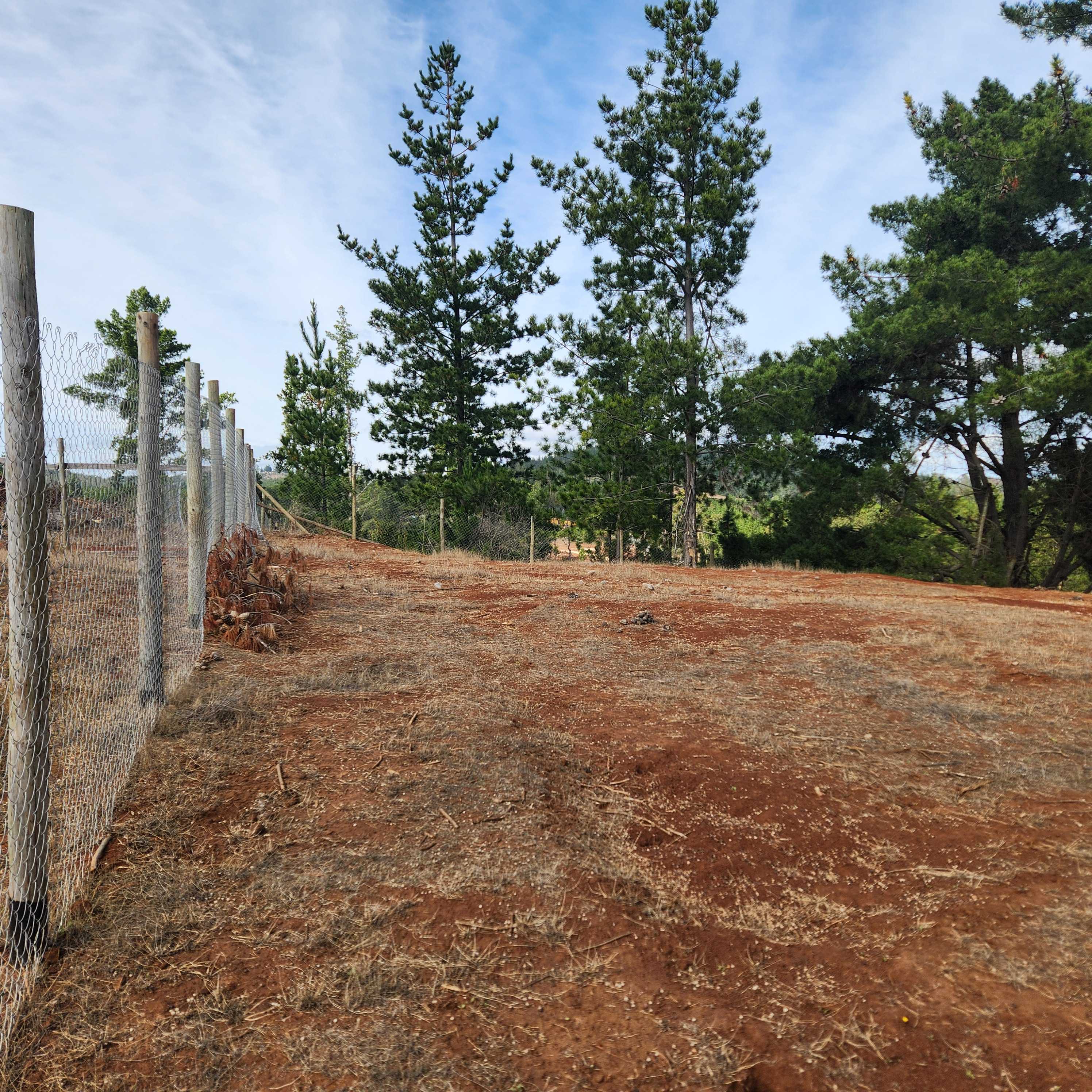 Venta Parcela Pichilemu - O'Higgins
