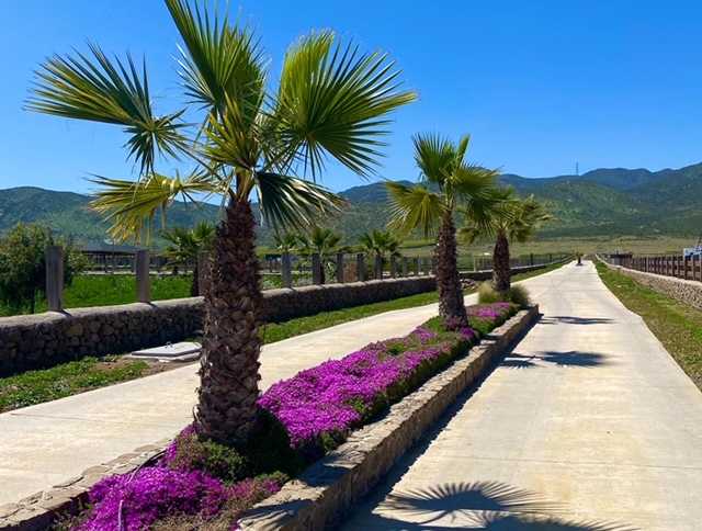 Venta Terreno Coquimbo - Coquimbo