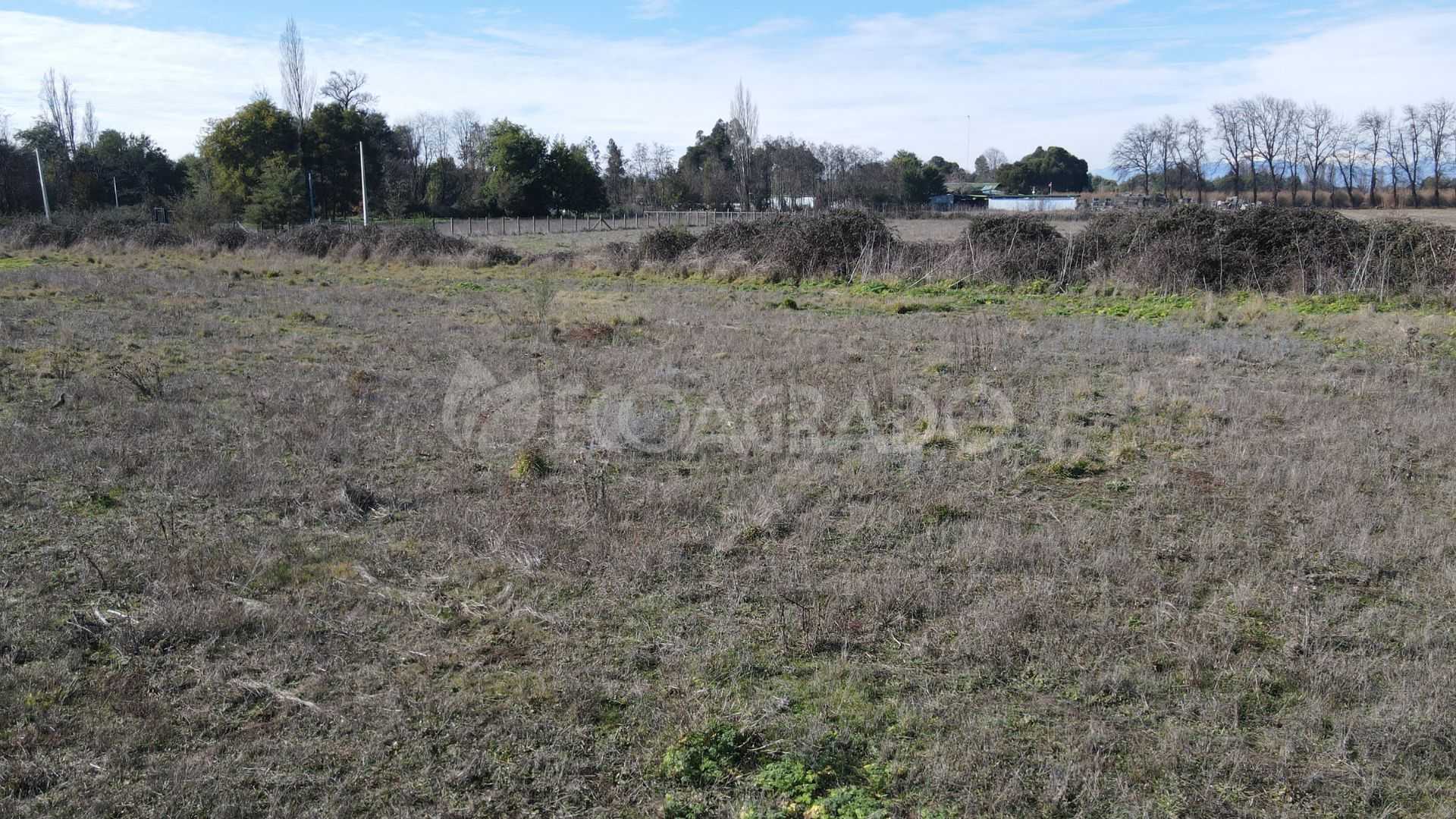 Venta Parcela Chillán - Ñuble