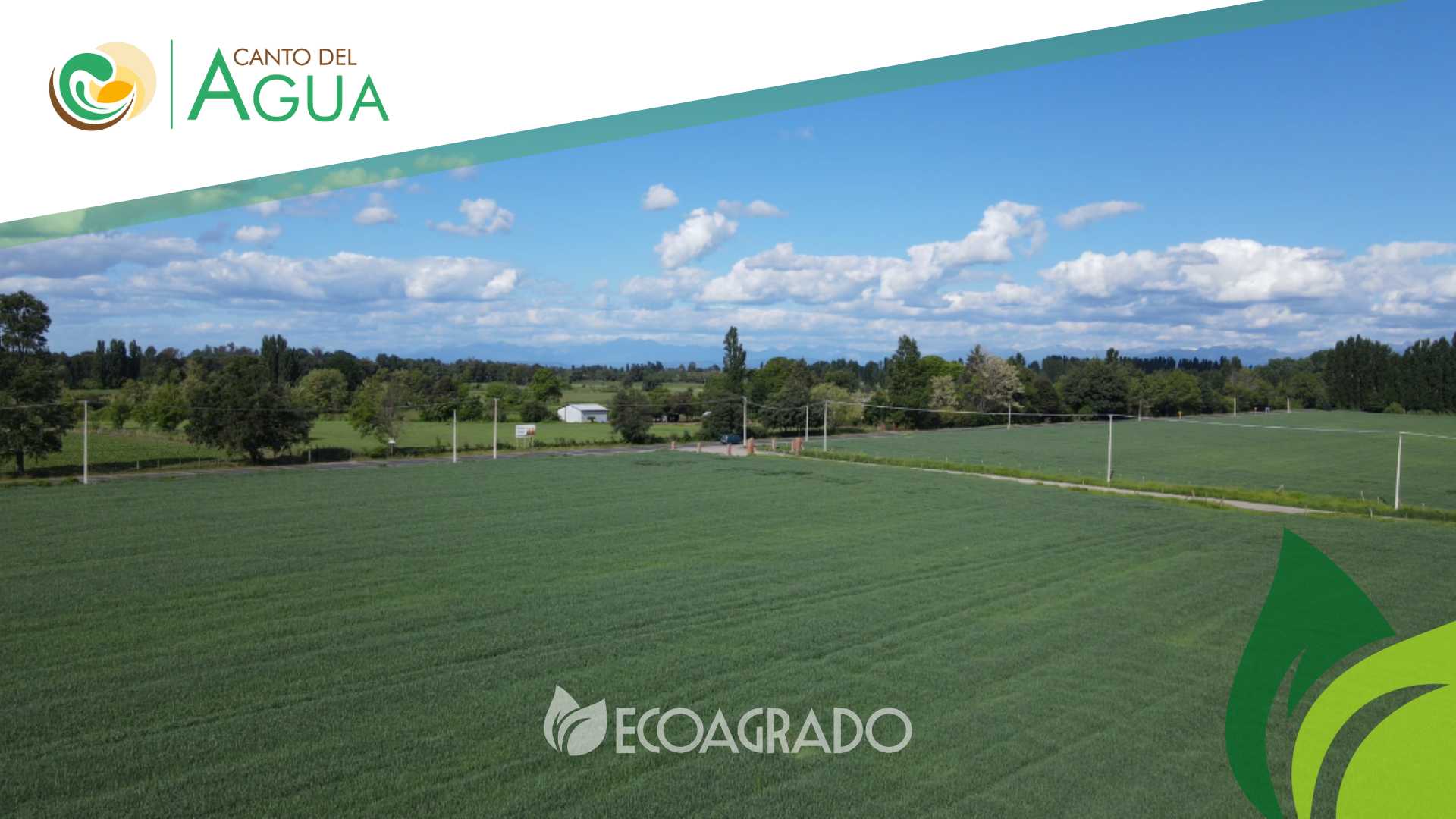 Venta Parcela Chillán - Ñuble