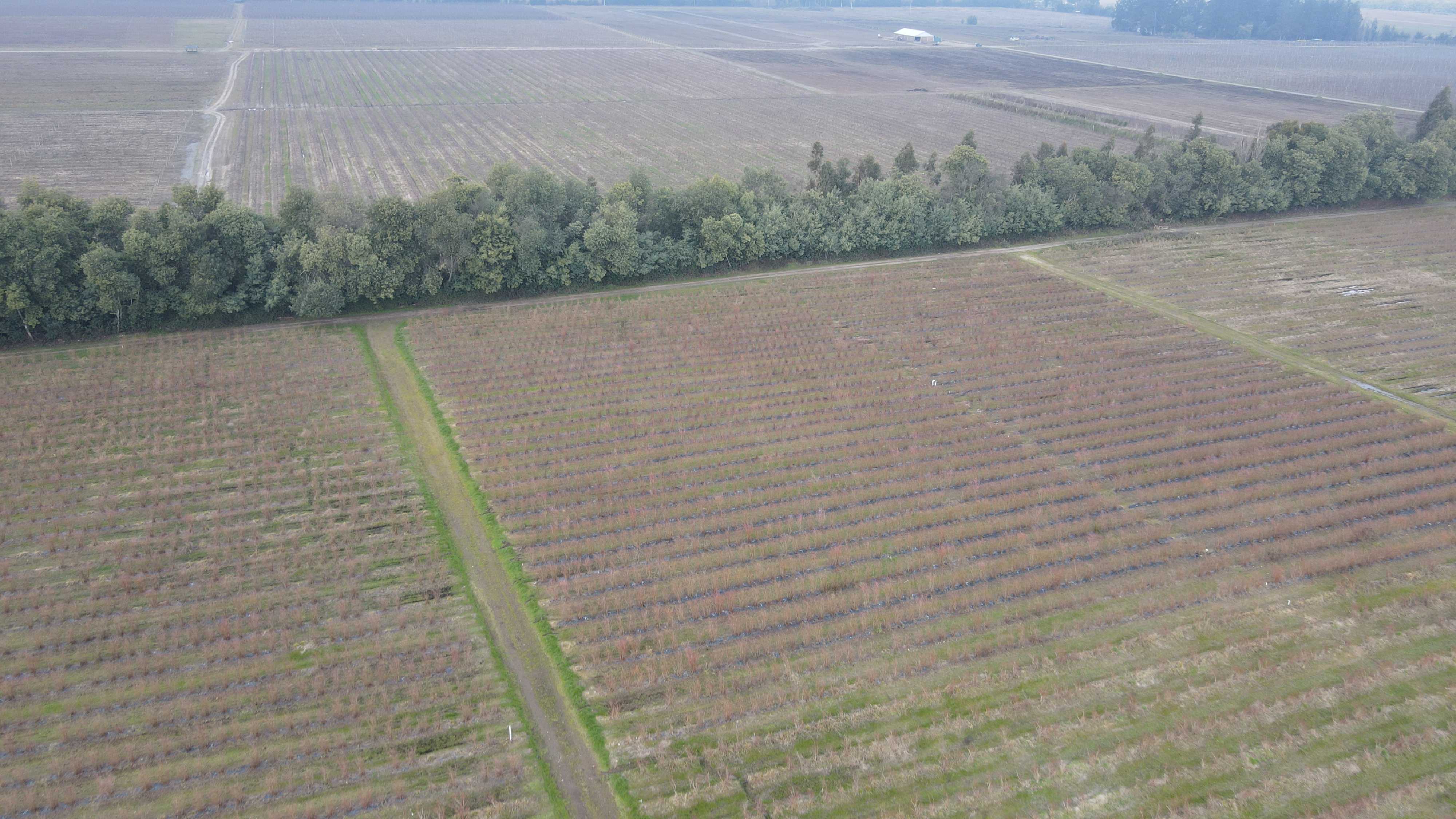 Venta Parcela Chillán - Ñuble