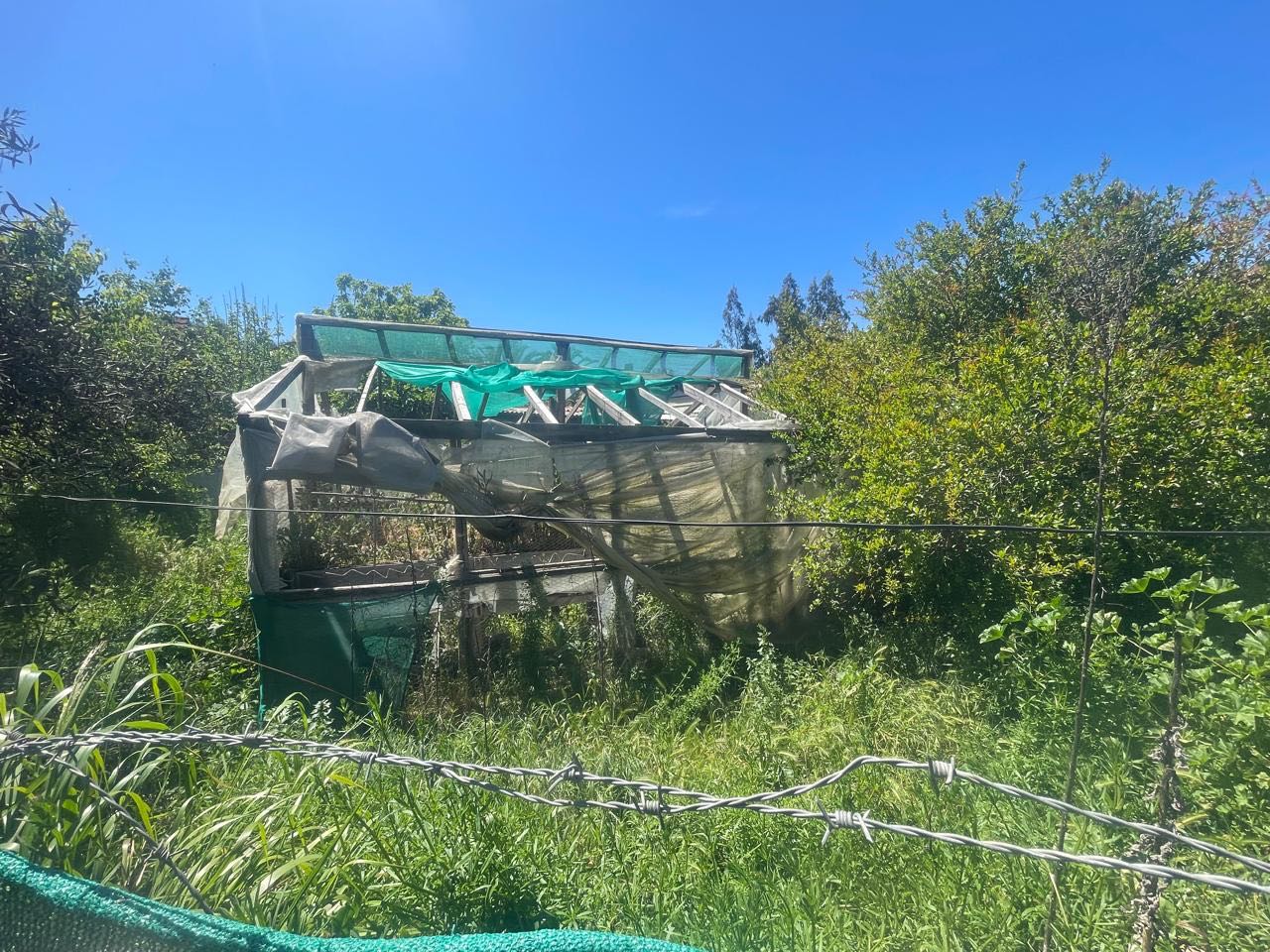 Venta Parcela Melipilla - Región Metropolitana