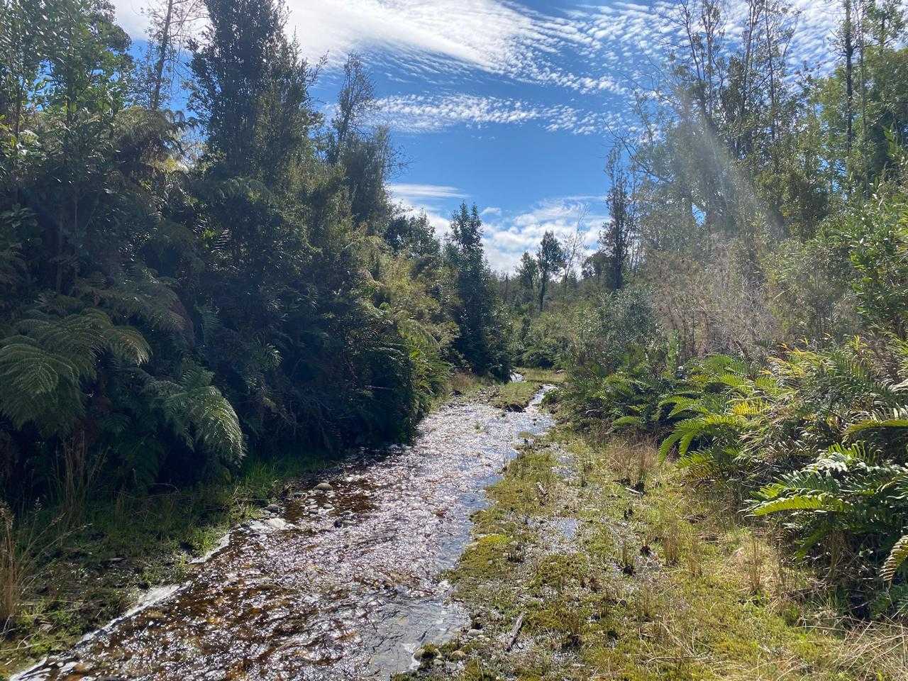 Venta Parcela Ancud - Los Lagos