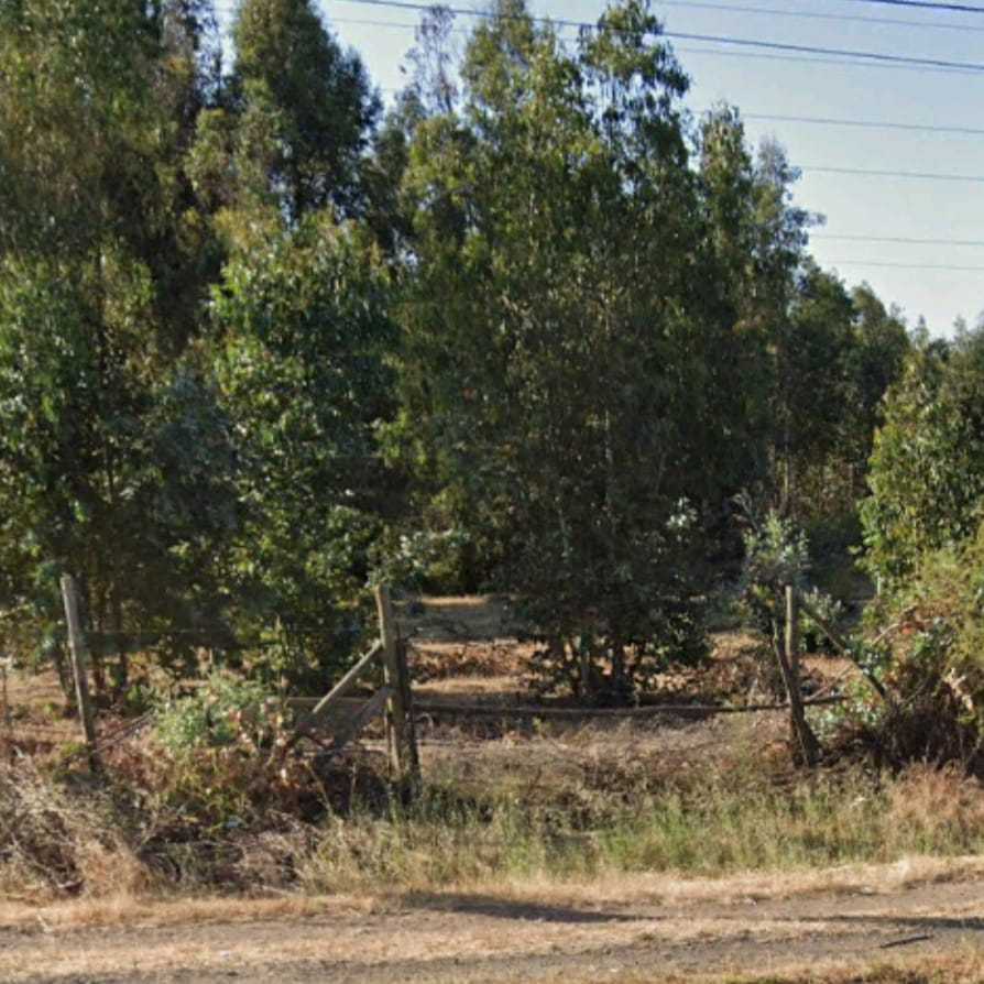 Venta Terreno Maule - Maule