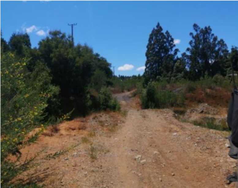 Venta Terreno Curanilahue - Biobío