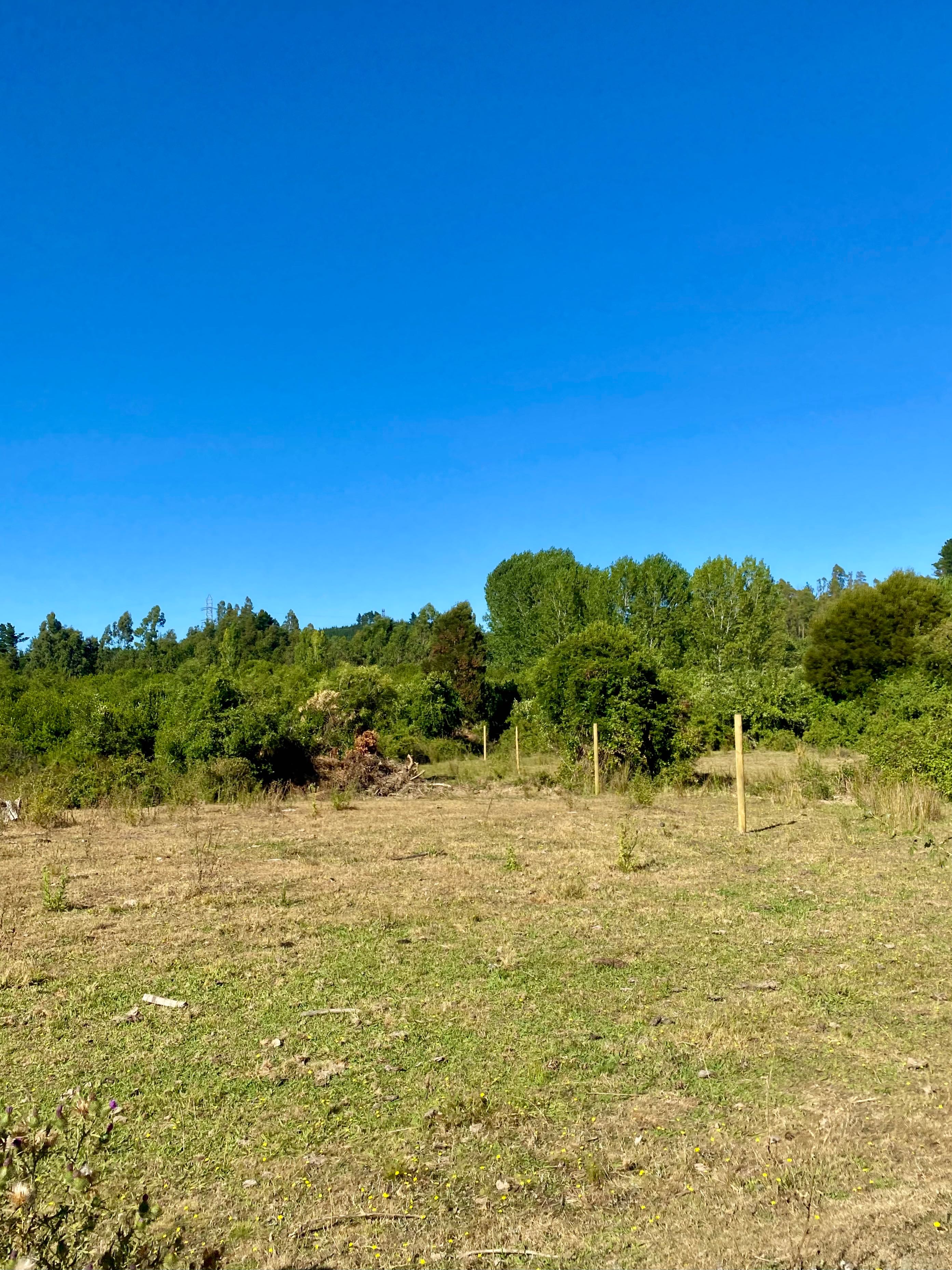 Venta Parcela Florida - Biobío