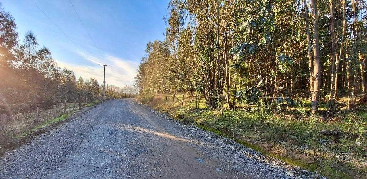 Venta Terreno Florida - Biobío