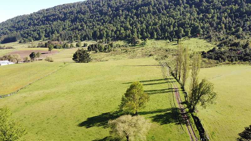 Venta Terreno Curacautín - La Araucanía