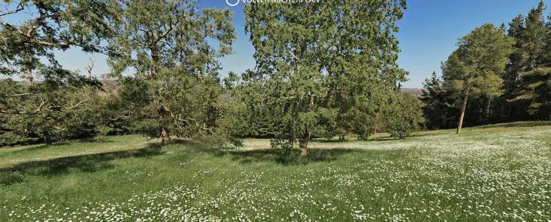 Venta Parcela Río Negro - Los Lagos