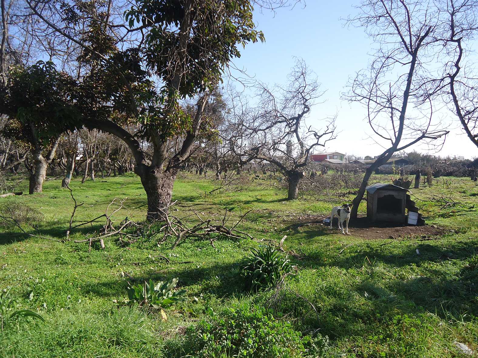 Venta Terreno Isla de Maipo - Región Metropolitana