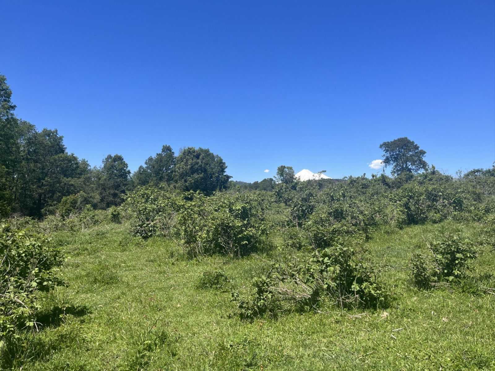 Venta Parcela Vilcún - La Araucanía