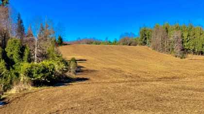 Venta Terreno Curacautín - La Araucanía
