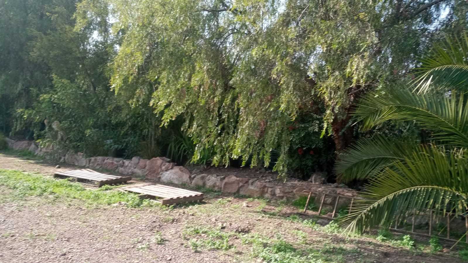 Arriendo Parcela Colina - Región Metropolitana