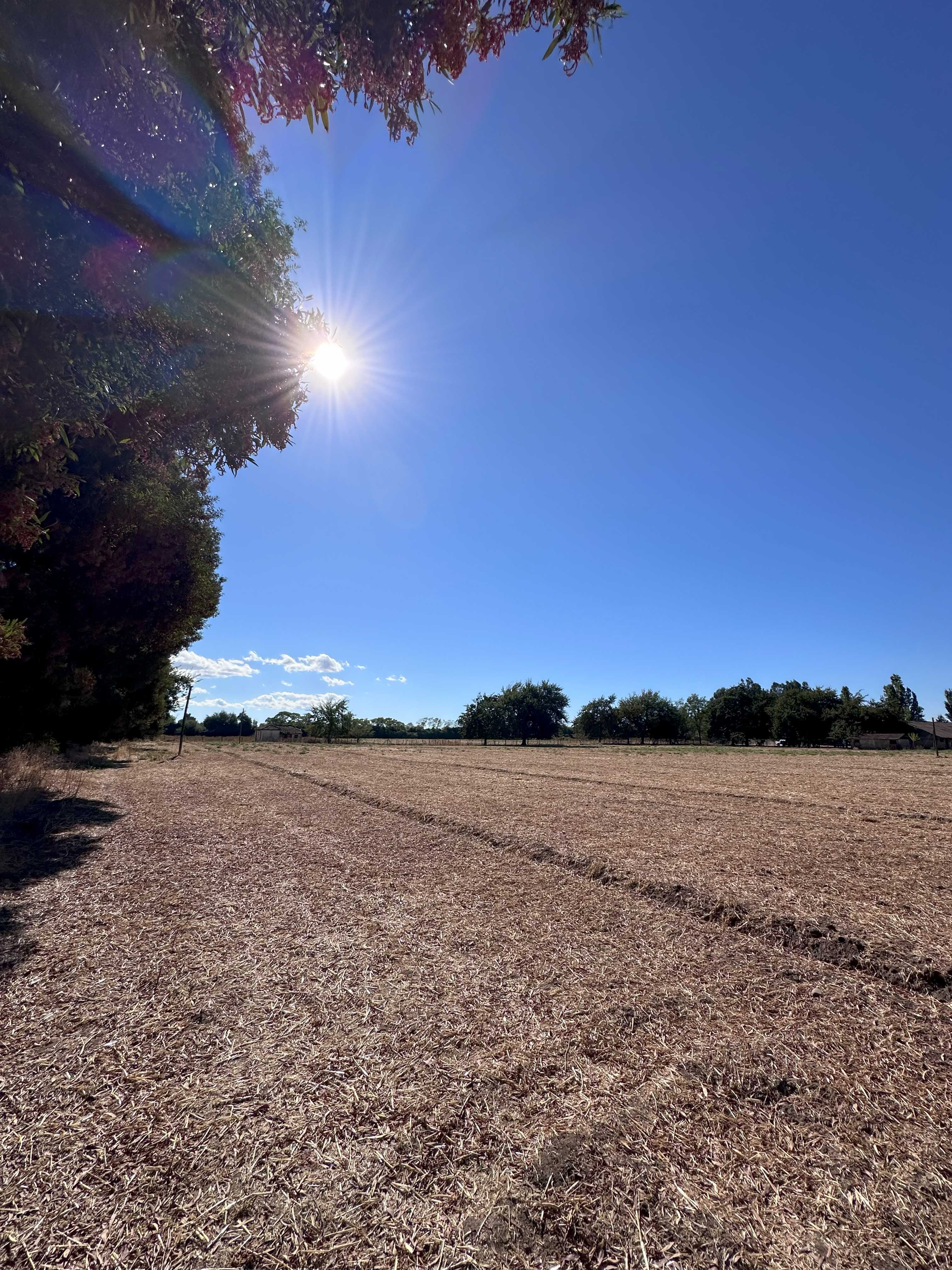 Venta Sitio San Carlos - Ñuble