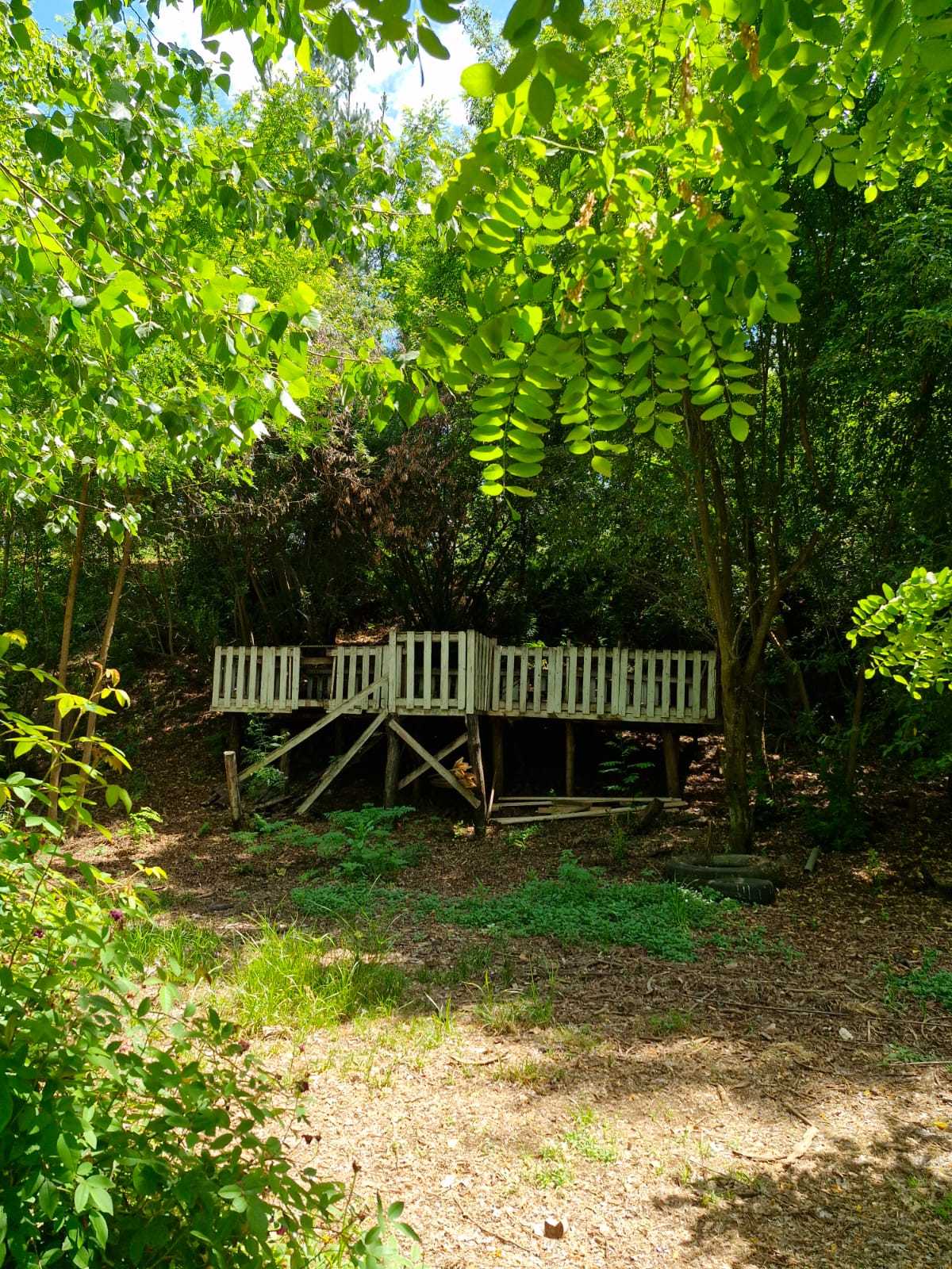 Venta Parcela Coihueco - Ñuble