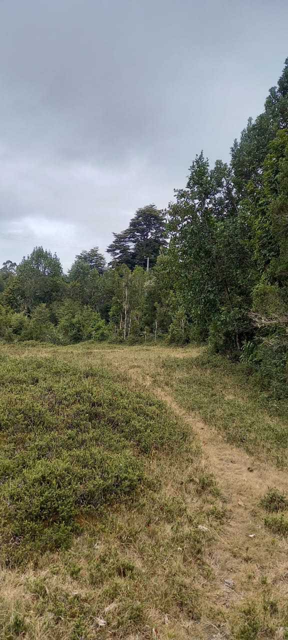 Venta Parcela Calbuco - Los Lagos