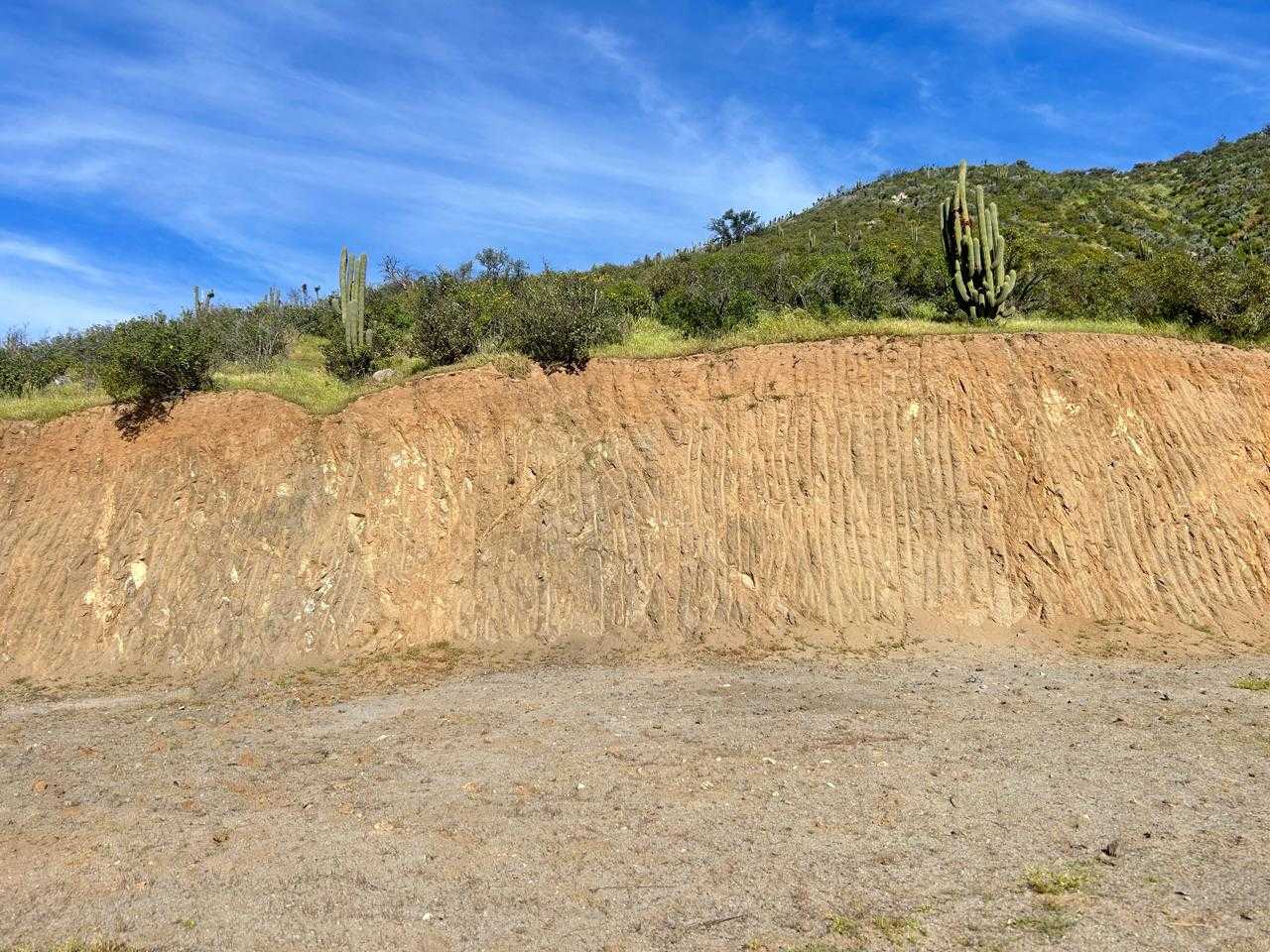 Venta Parcela Curacaví - Región Metropolitana