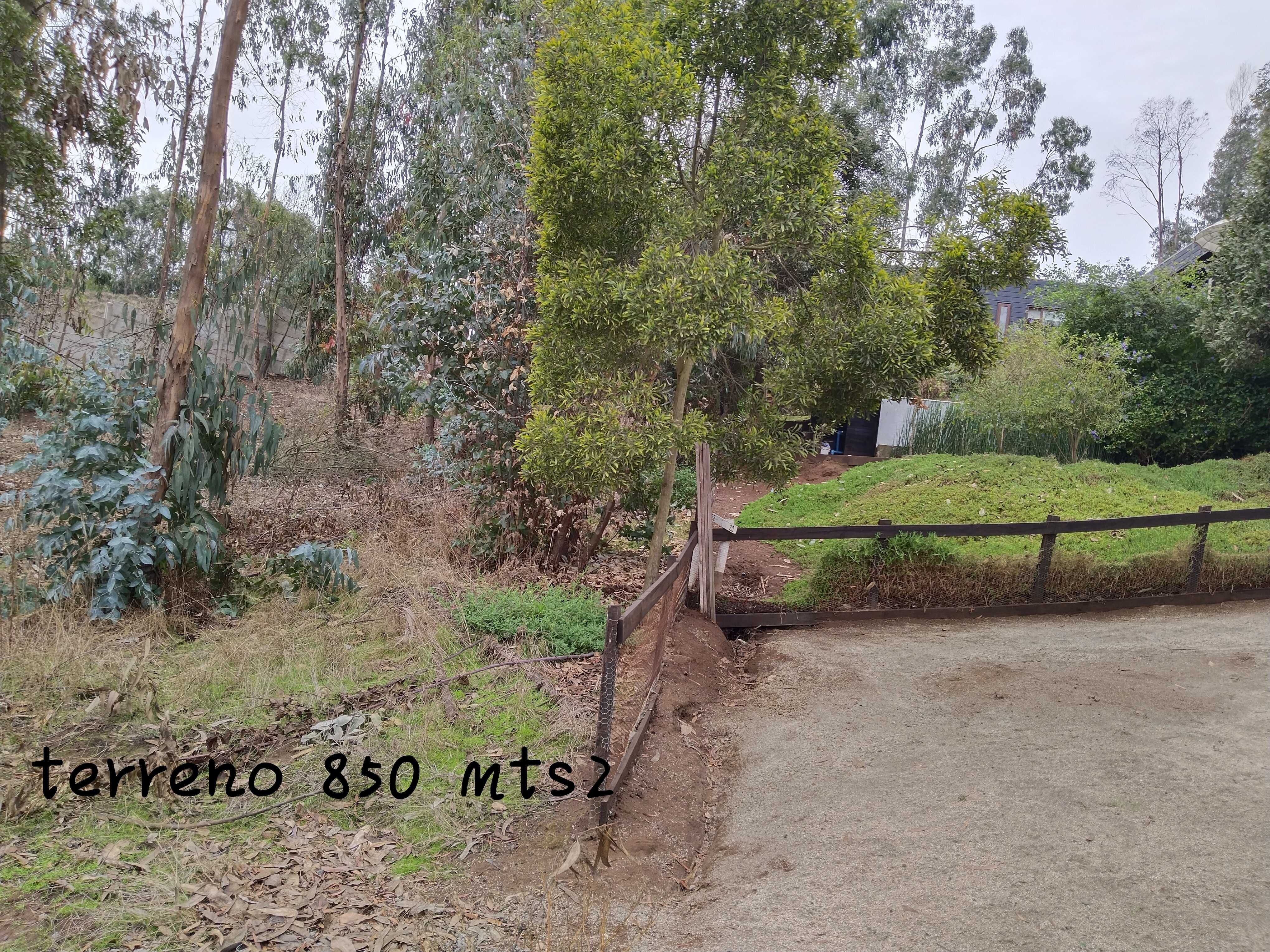 Venta Sitio Puchuncaví - Valparaíso