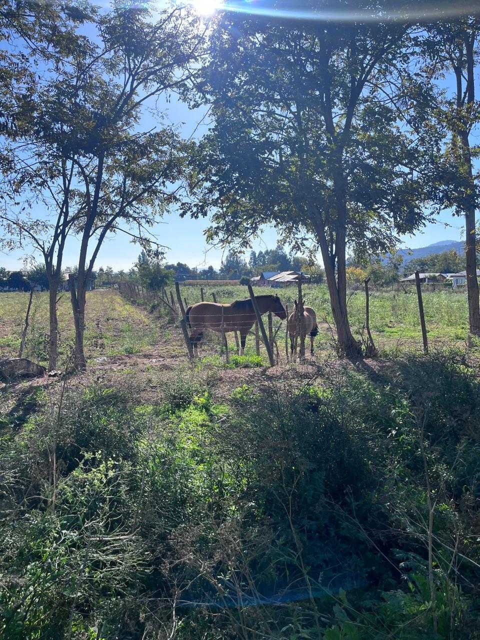 Venta Parcela Melipilla - Región Metropolitana