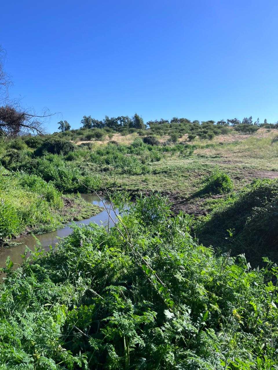 Venta Parcela Melipilla - Región Metropolitana