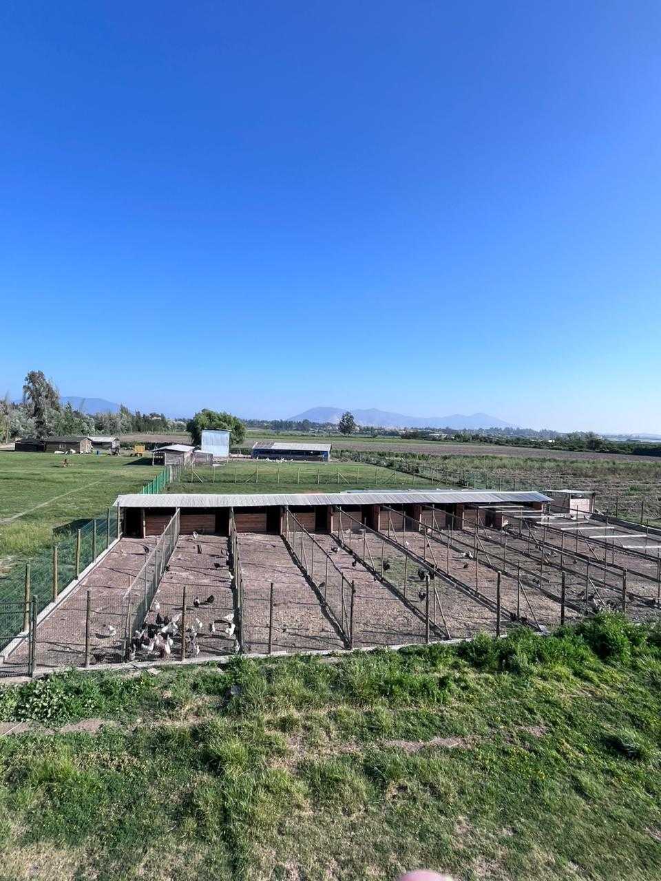 Venta Parcela Melipilla - Región Metropolitana