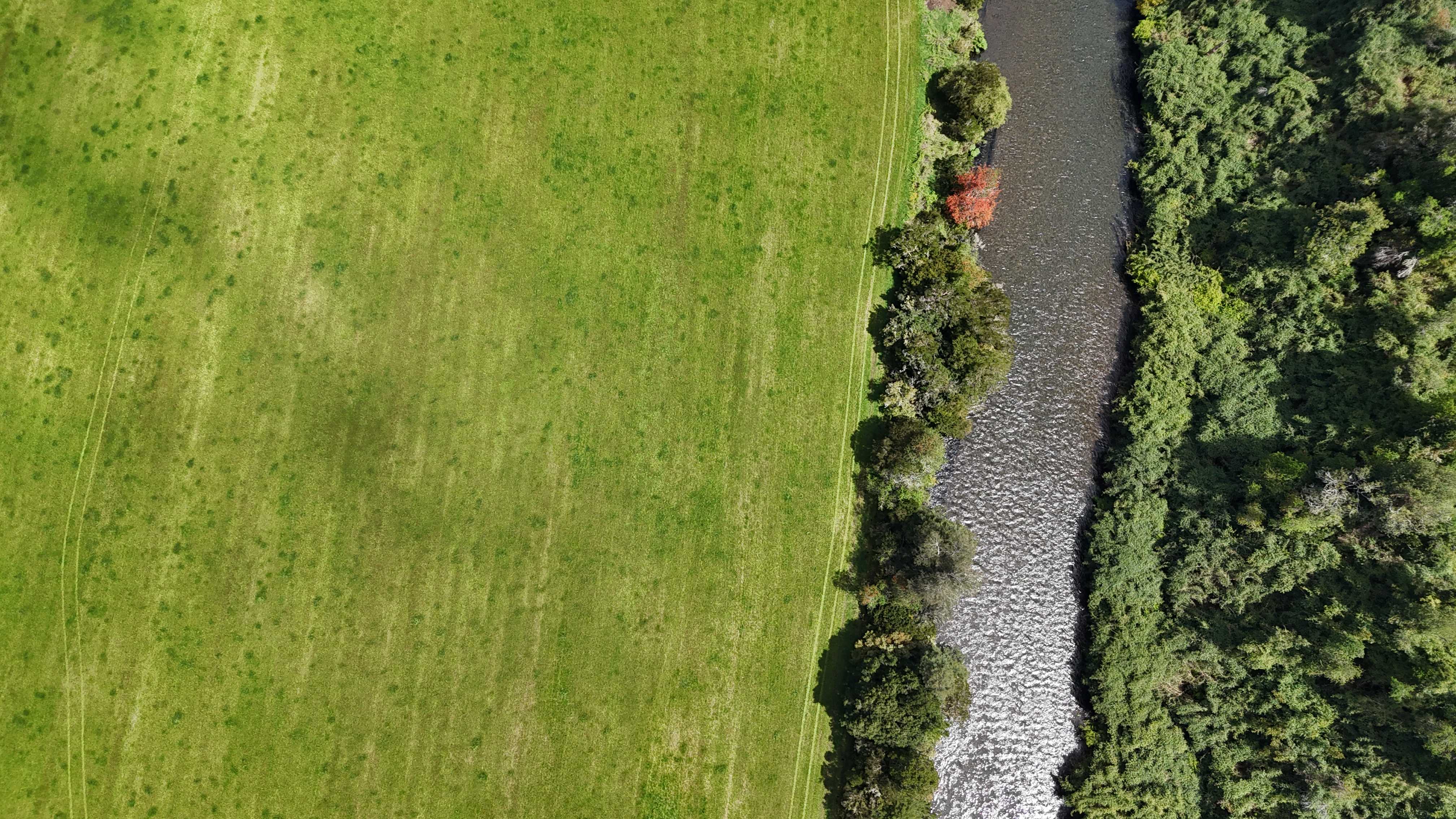 Venta Parcela Puerto Octay - Los Lagos