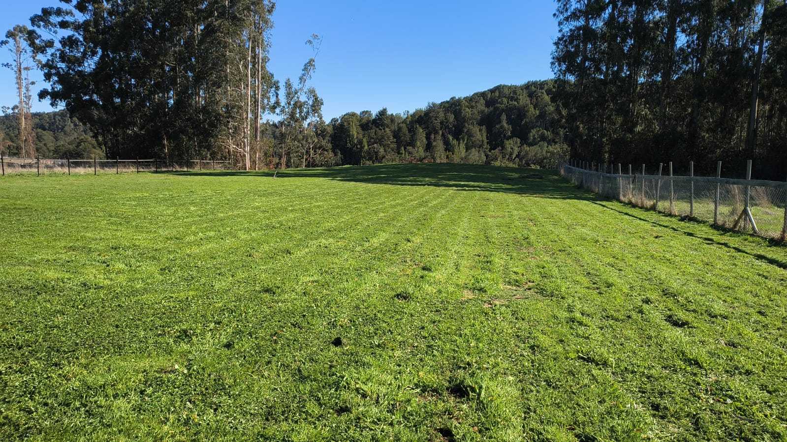 Venta Parcela Puerto Varas - Los Lagos