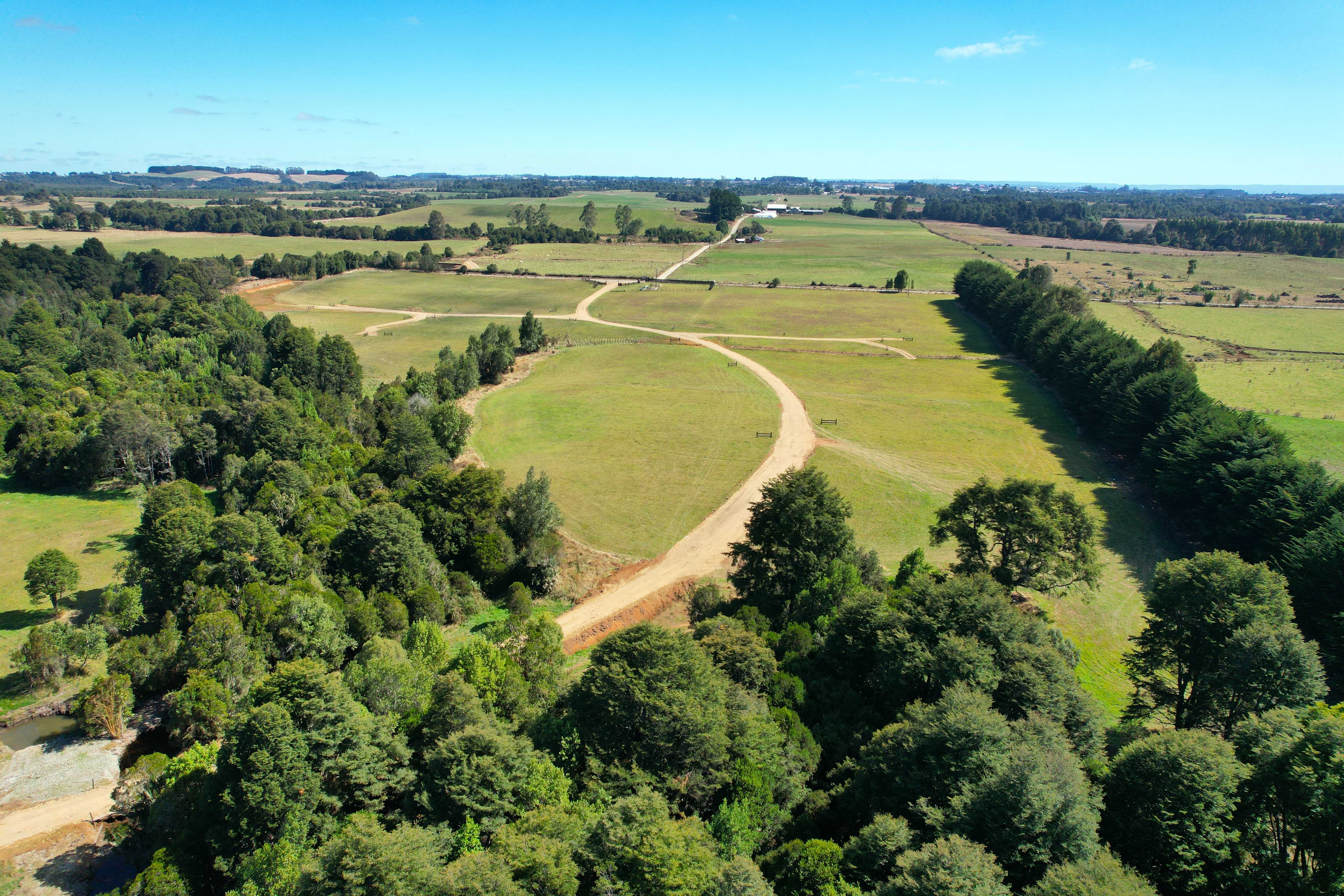 Venta Parcela Los Muermos - Los Lagos