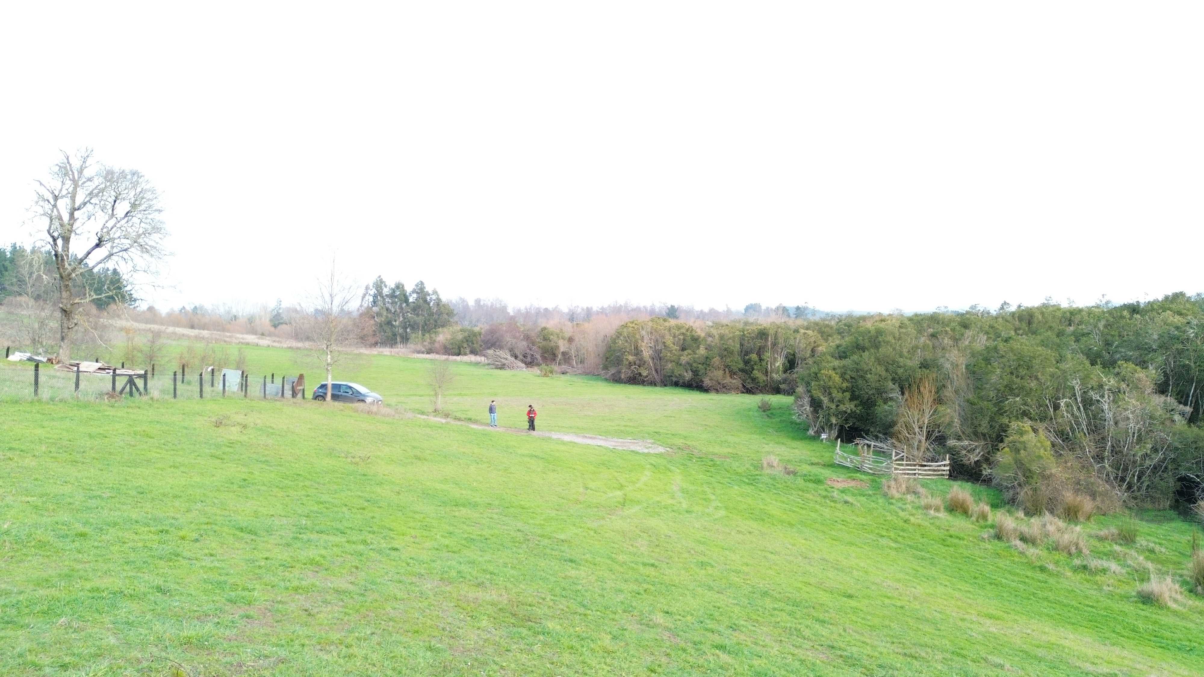 Venta Parcela Temuco - La Araucanía