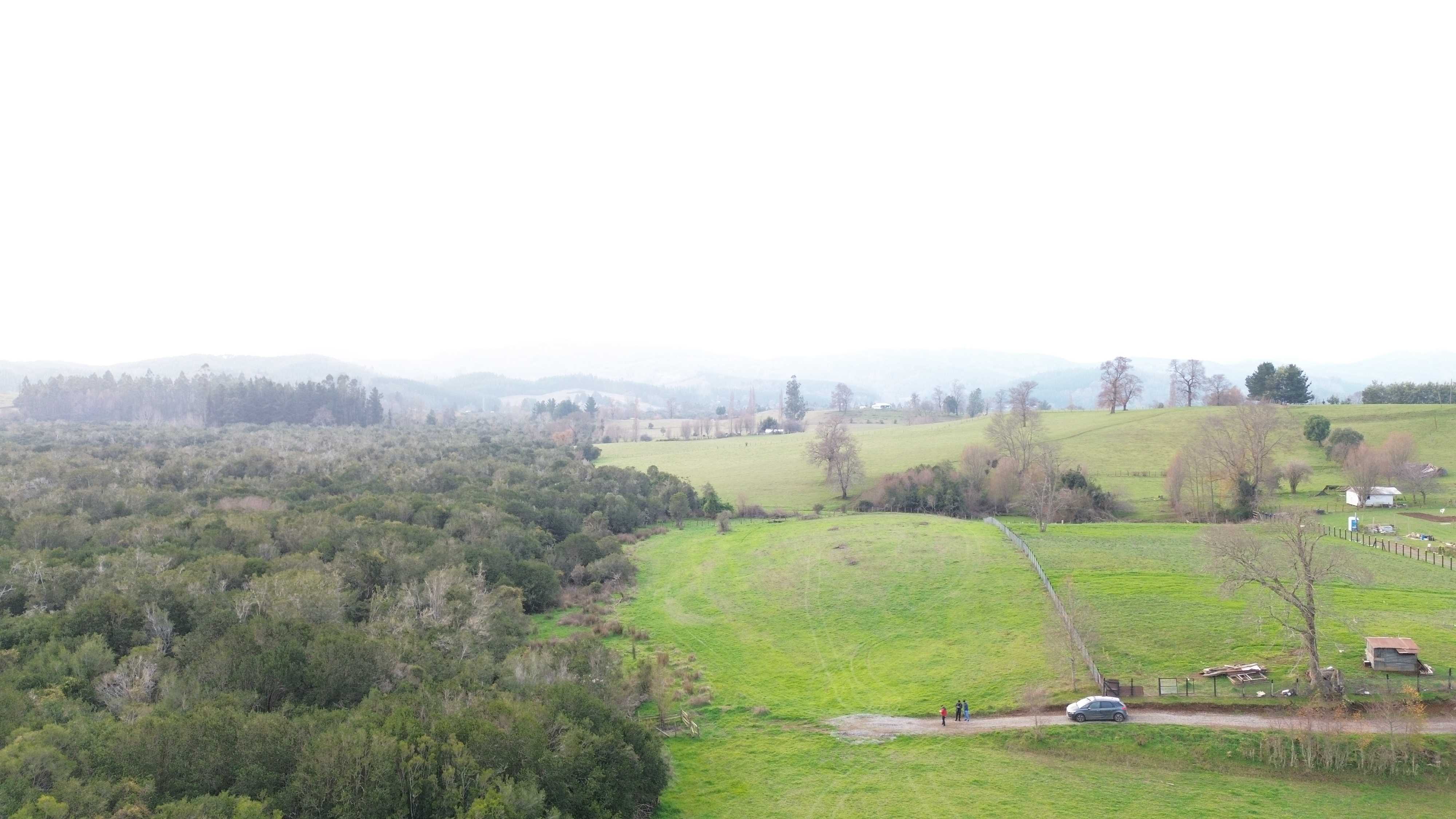 Venta Parcela Temuco - La Araucanía