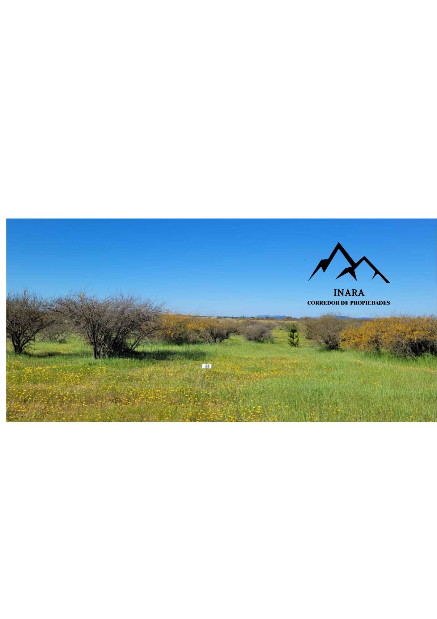 Venta Parcela Cauquenes - Maule