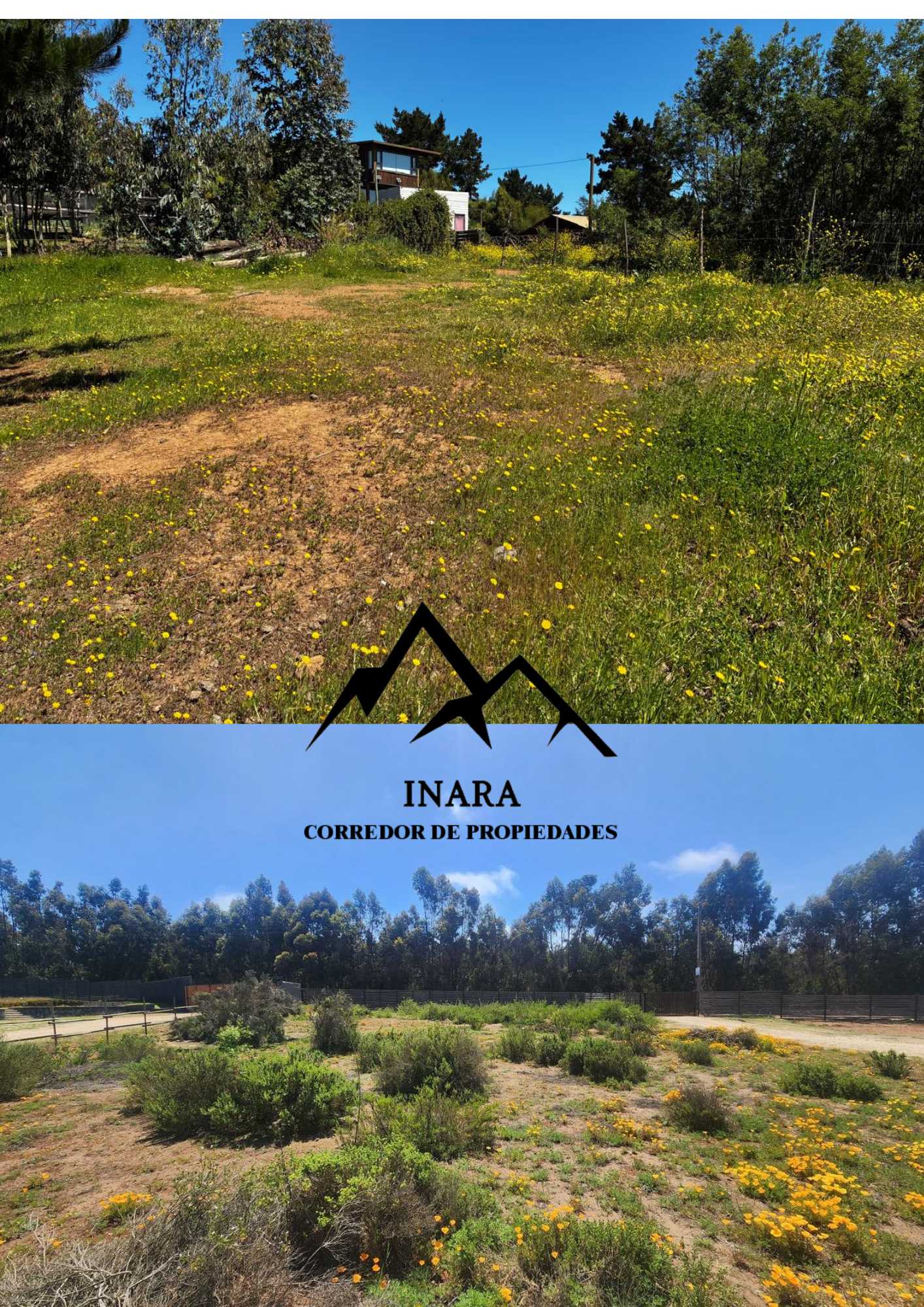 Venta Sitio Pichilemu - O'Higgins