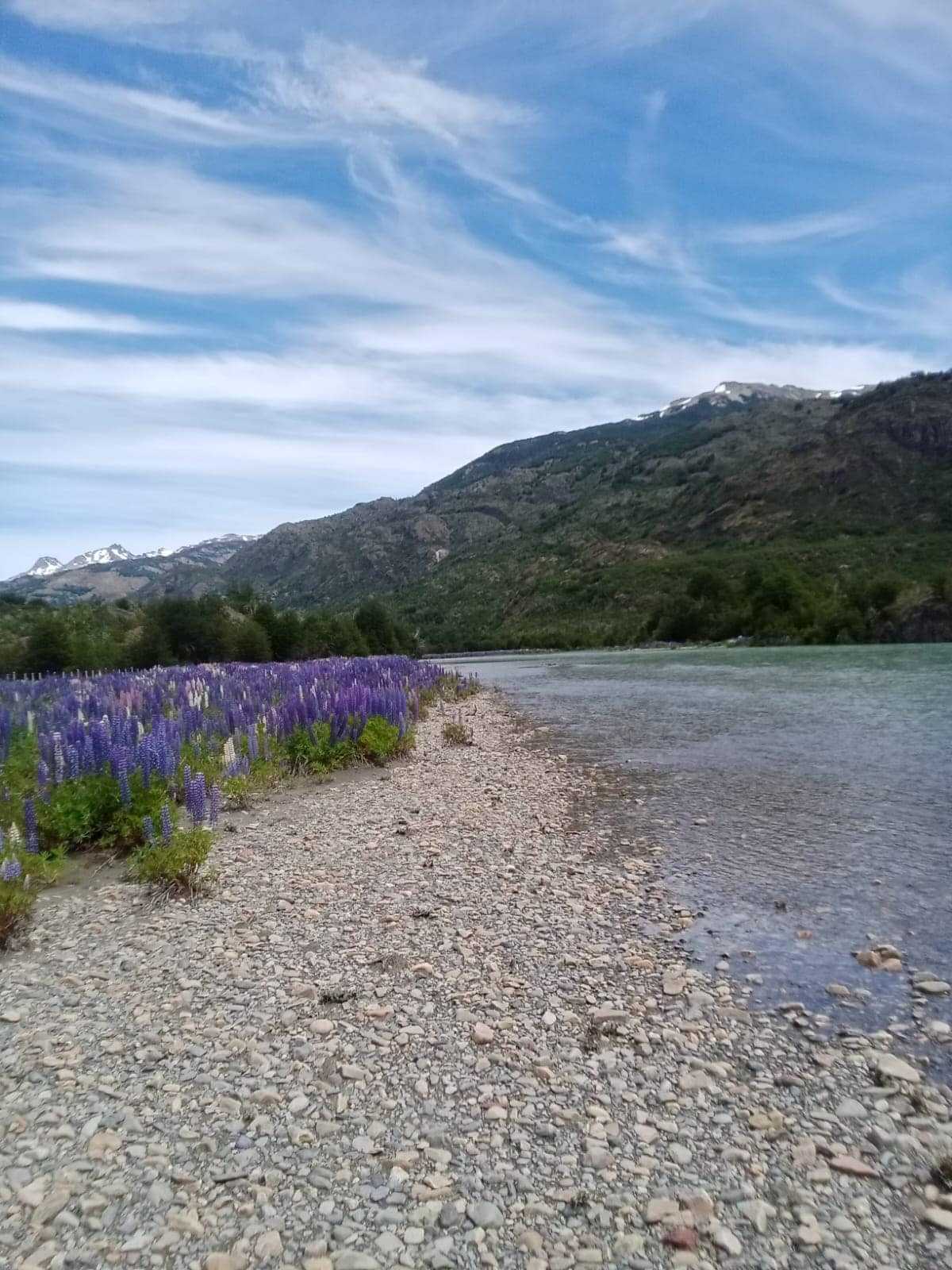 Venta Terreno Coyhaique - Aysén