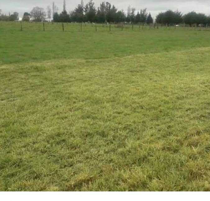 Venta Terreno Pitrufquén - La Araucanía