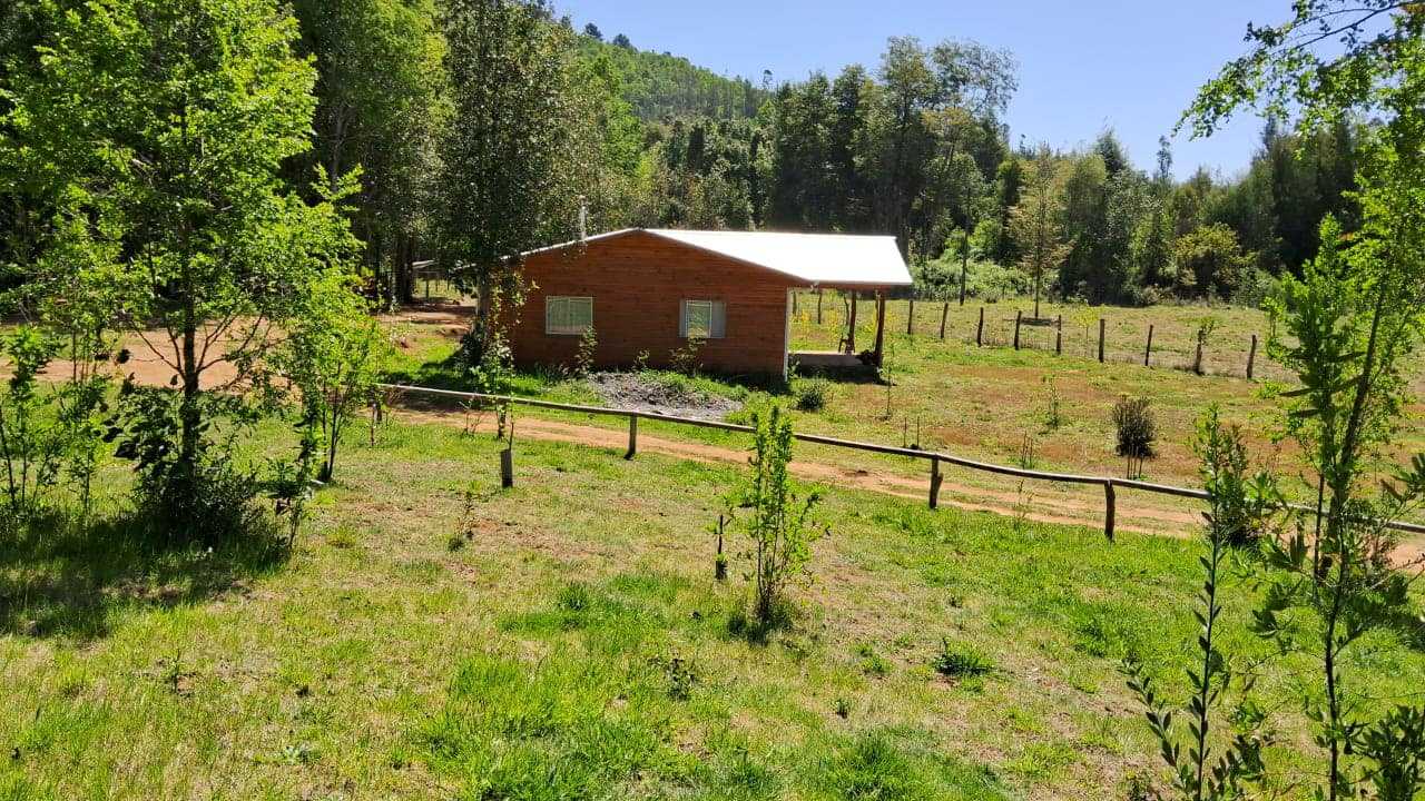 Venta Parcela Gorbea - La Araucanía