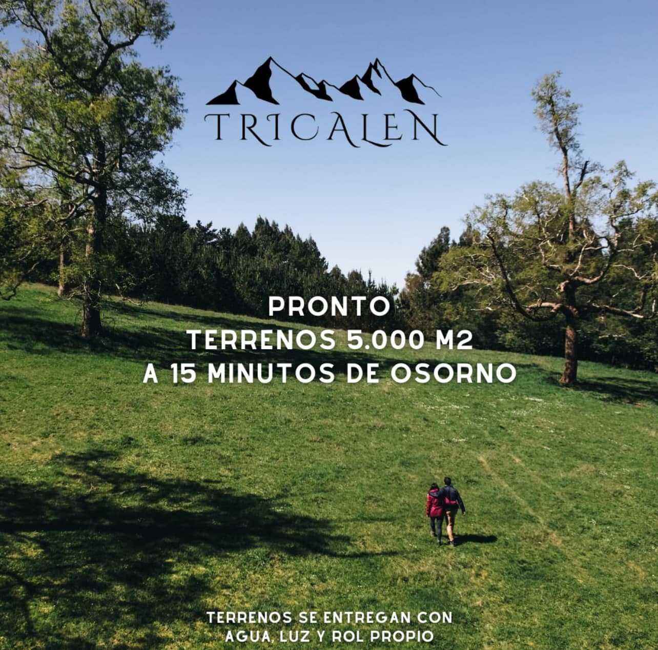 Venta Parcela Osorno - Los Lagos