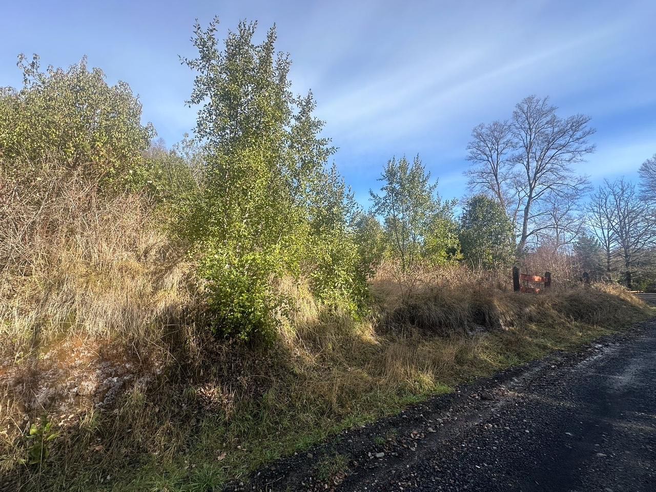 Venta Sitio Pucón - La Araucanía