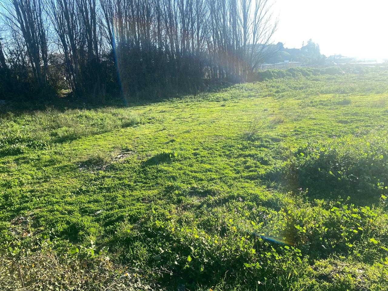 Venta Terreno Concepción - Biobío