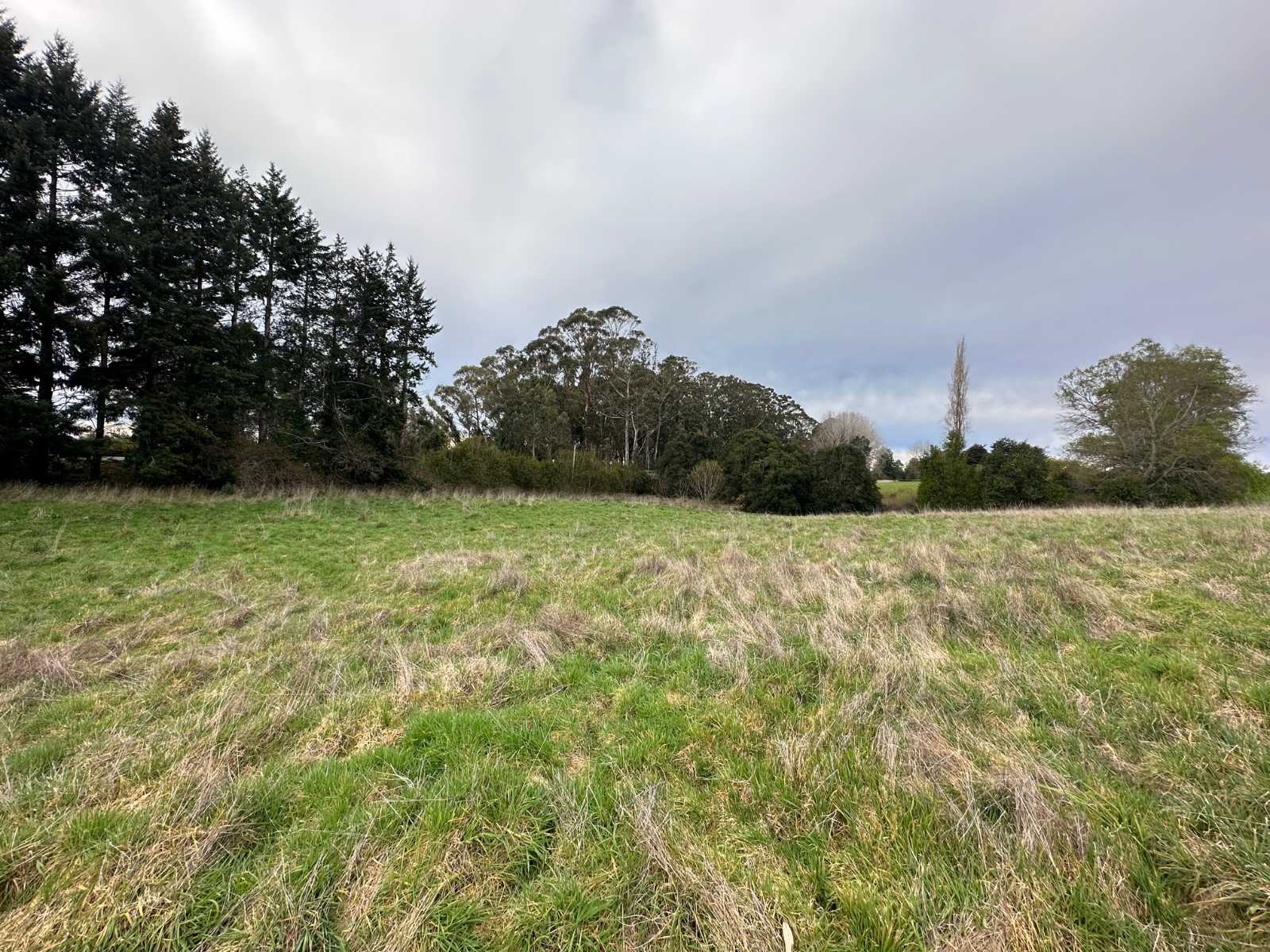 Venta Terreno Puerto Varas - Los Lagos