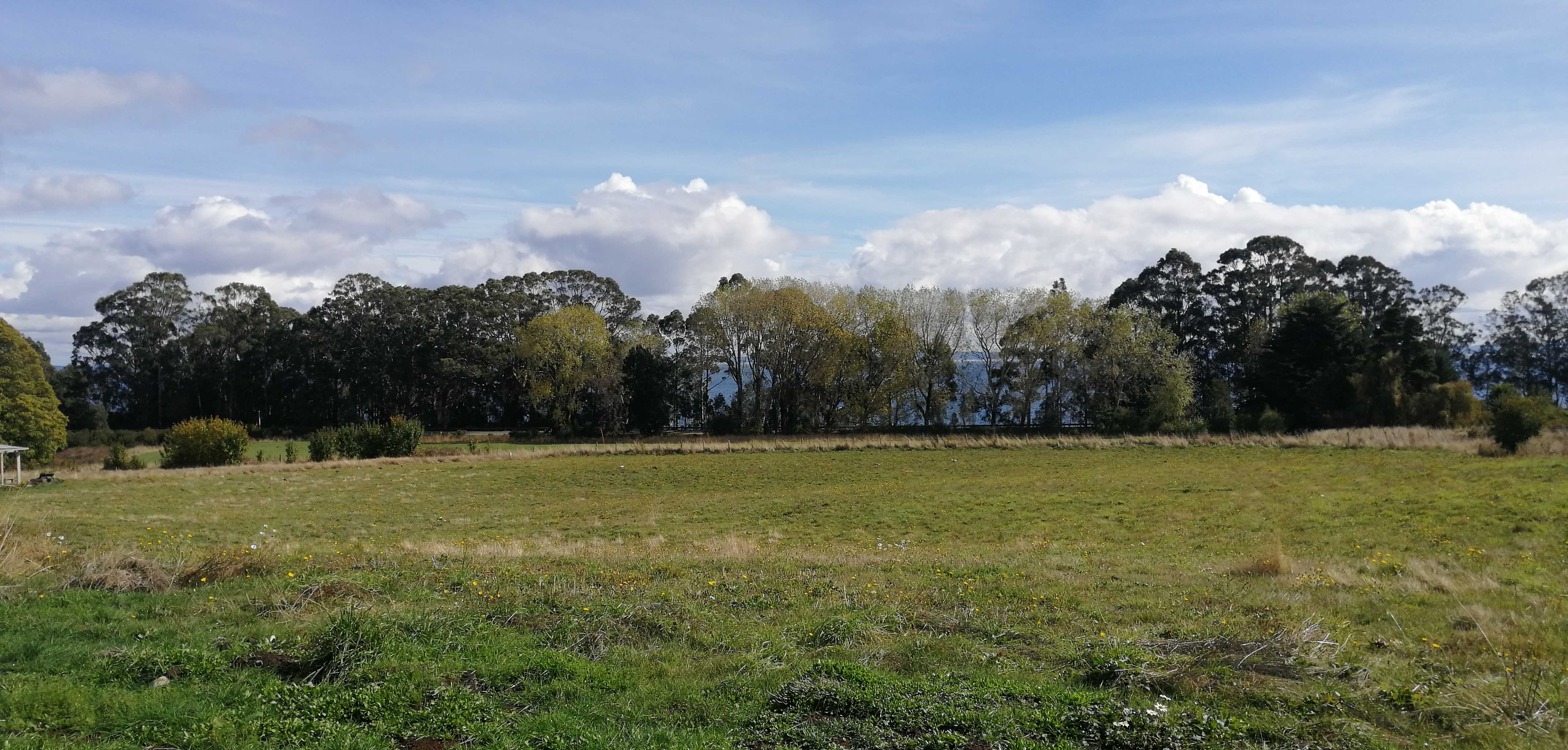 Venta Parcela Puerto Varas - Los Lagos