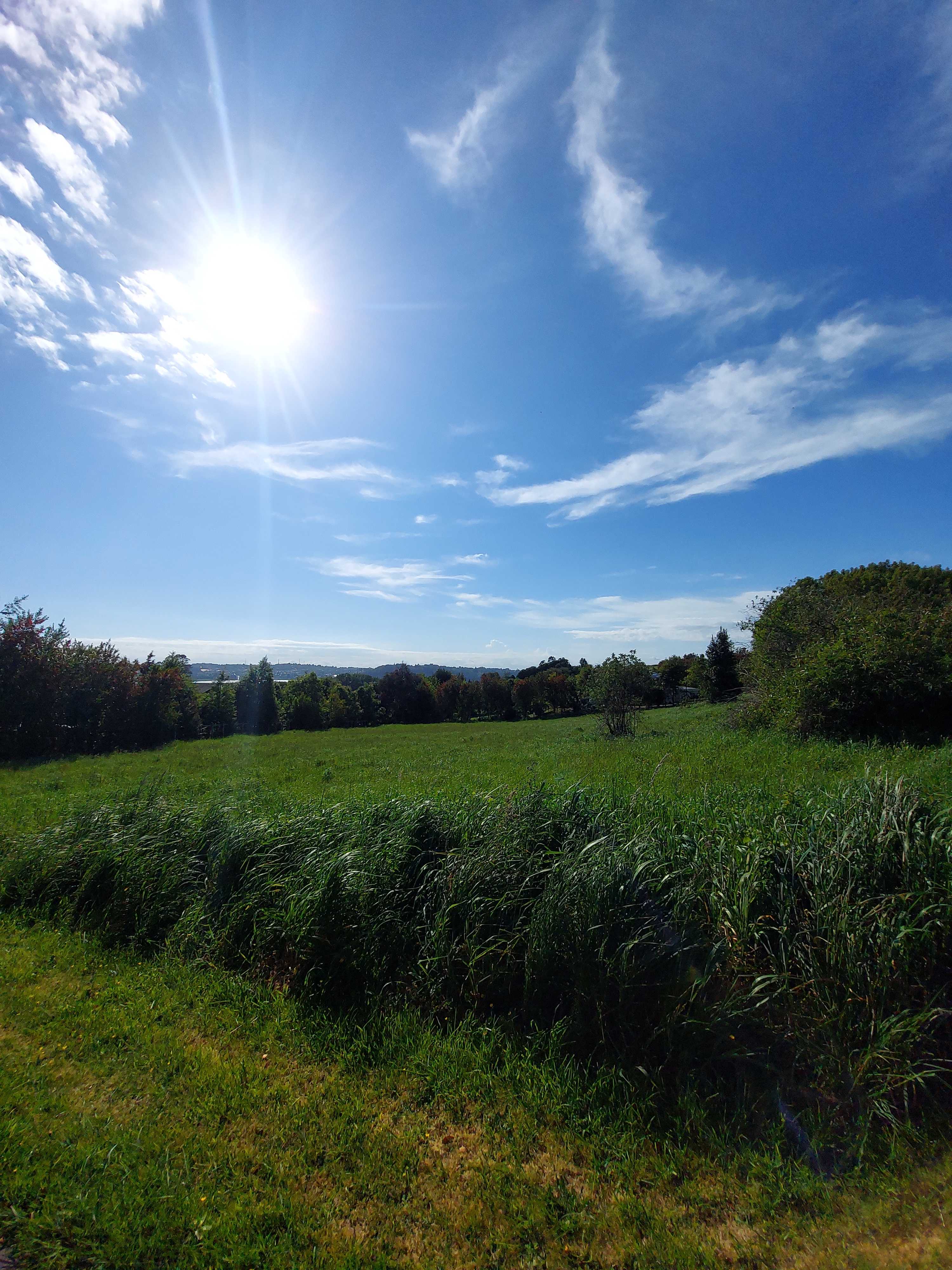 Venta Parcela Puerto Varas - Los Lagos