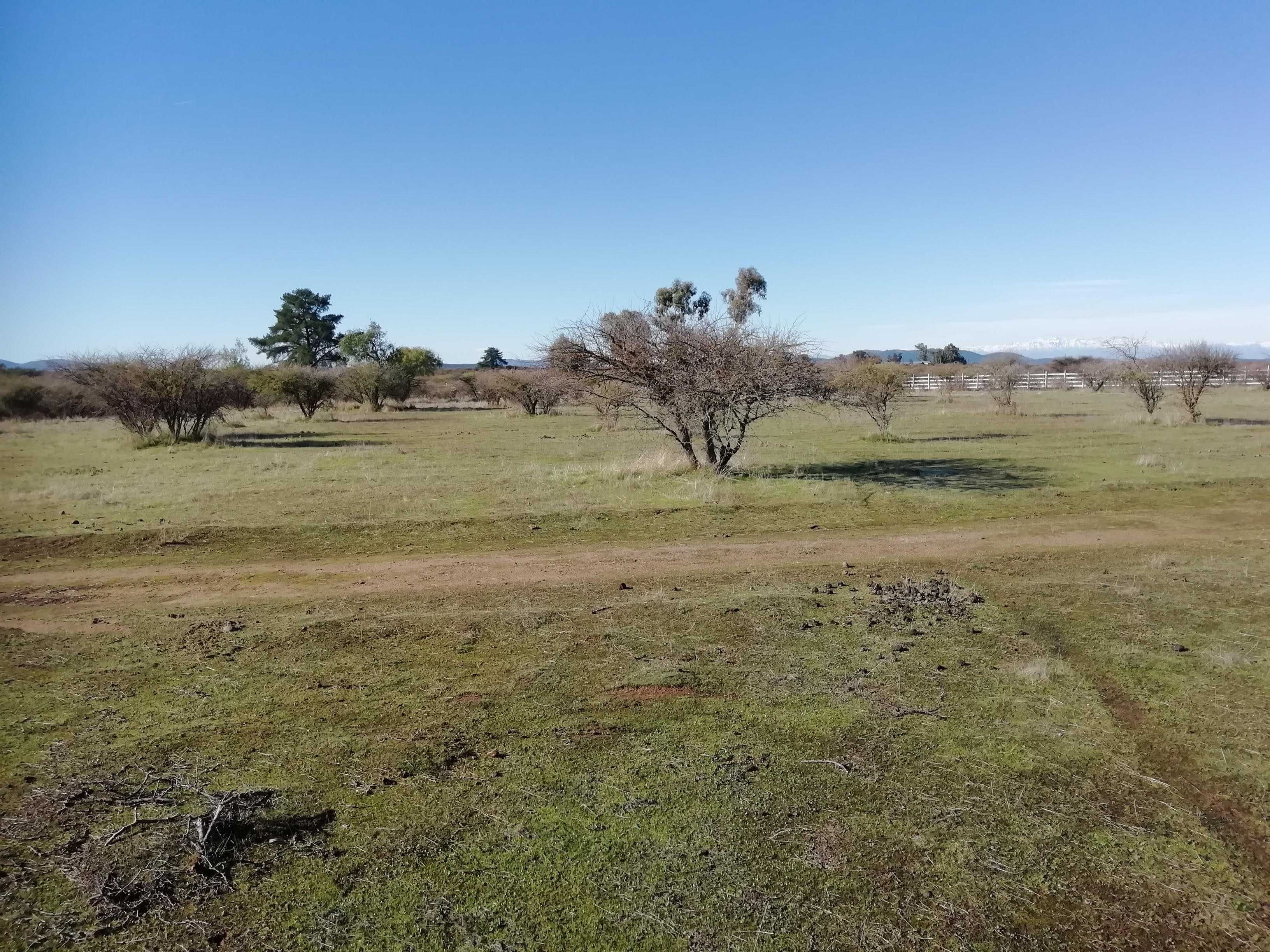 Venta Parcela Cauquenes - Maule