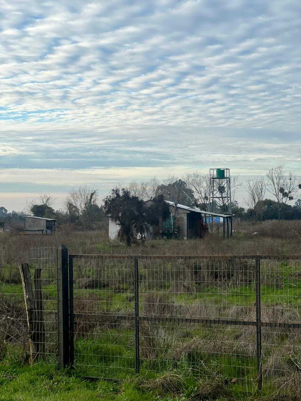 Venta Parcela San Carlos - Ñuble