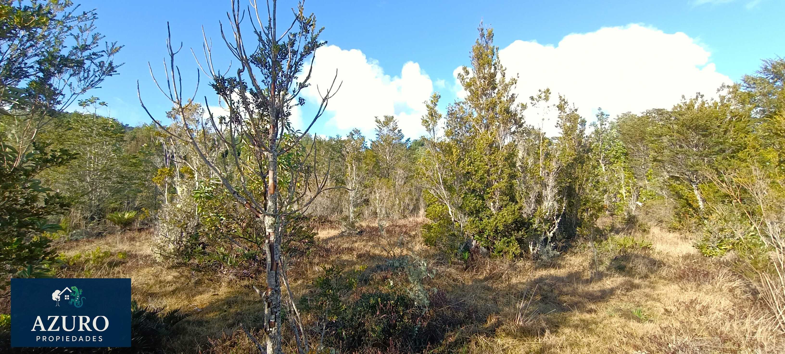 Venta Terreno Puerto Montt - Los Lagos
