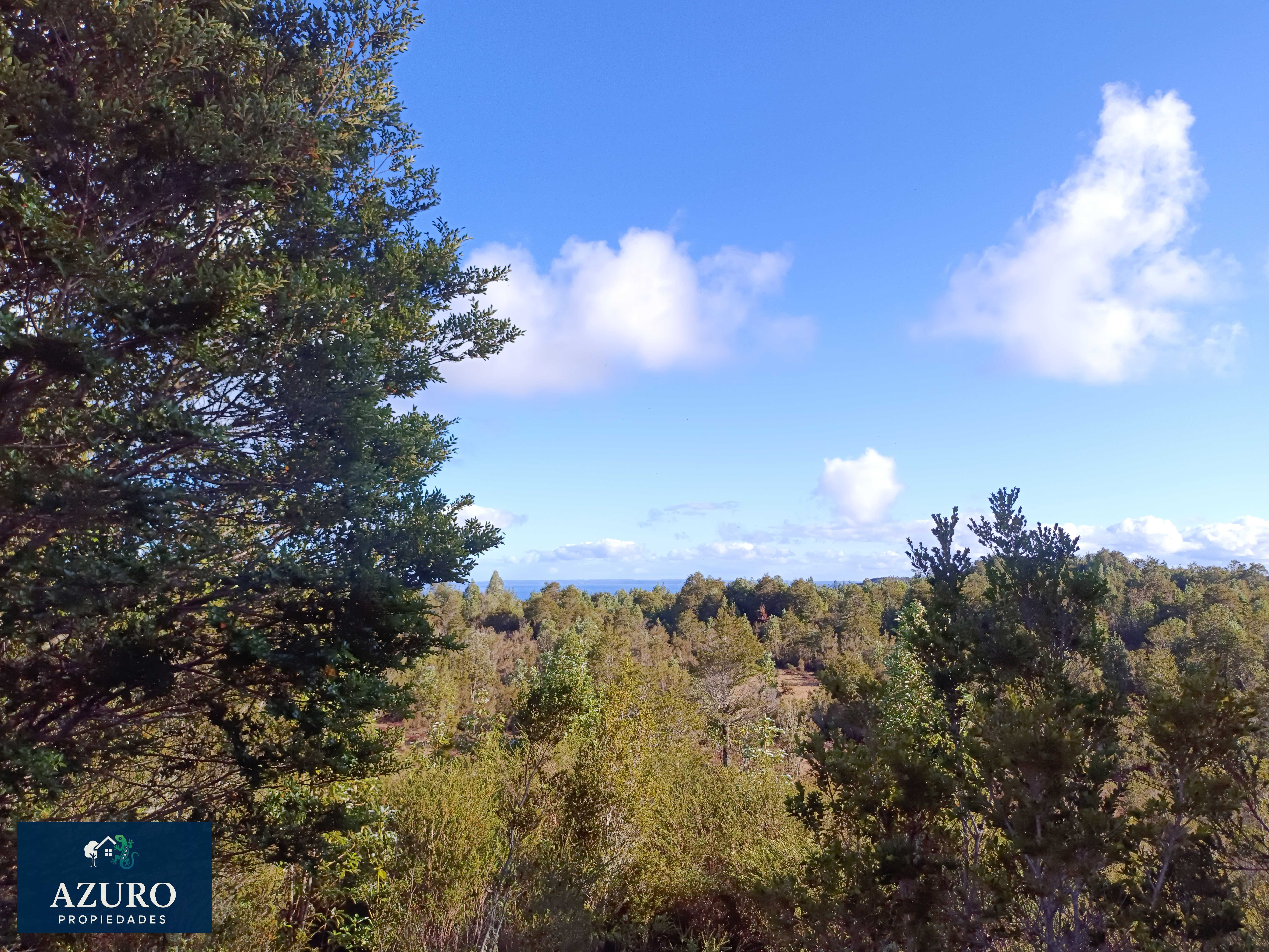 Venta Terreno Puerto Montt - Los Lagos