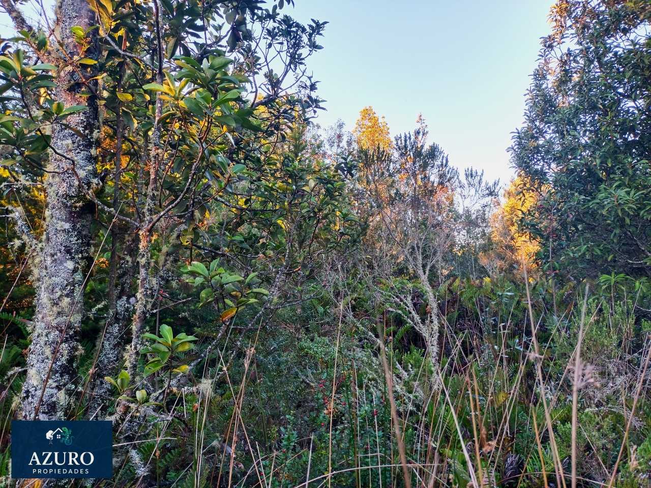 Venta Parcela Puerto Montt - Los Lagos