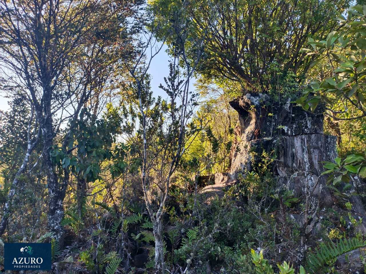 Venta Parcela Puerto Montt - Los Lagos